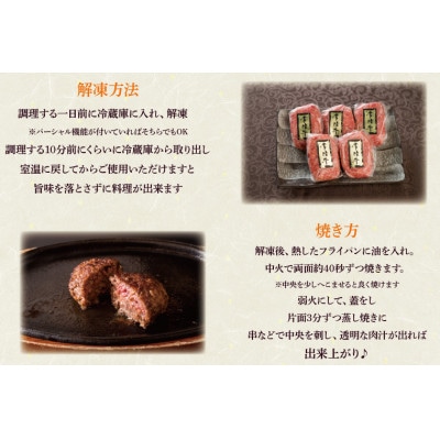 常陸牛100% ハンバーグ 100g×6個
