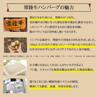 常陸牛100% ハンバーグ 100g×6個