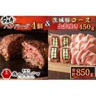ハンバーグ100g 4個 & 豚ロース 生姜焼き 450g　合計850g
