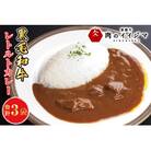 イイジマ和牛カレー 3袋入り