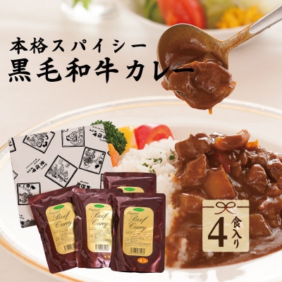 イイジマ和牛カレー 4袋入り