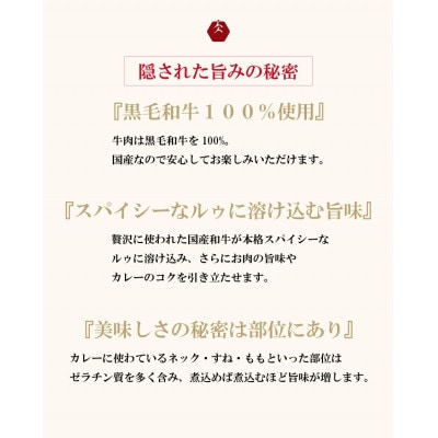 イイジマ和牛カレー 4袋入り