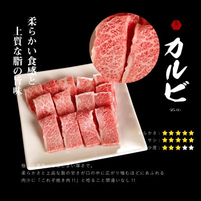 常陸牛A5 焼肉 カルビ580g 特製タレ付き セット