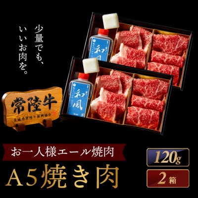 常陸牛A5 焼肉 2種食べ比べ エールギフト1×2箱 タレ付 【老舗肉店のおすすめお礼品】