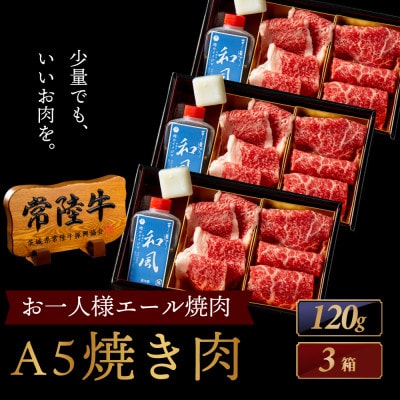 常陸牛A5 焼肉 2種食べ比べ エールギフト1×3箱セット タレ付 【老舗肉店のおすすめお礼品】