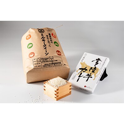 【さとふる限定】常陸牛カレー&茨城産米ミルキークイーン10kg 企業×学園コラボ おすすめお礼品