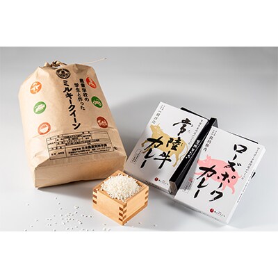 【さとふる限定】茨城そだちカレー&茨城産米ミルキークイーン10kg 企業×学園コラボ おすすめお礼品