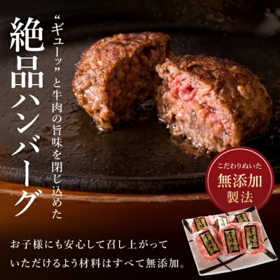 【毎月定期便】常陸牛ハンバーグ 100g×10個 黒毛和牛全3回