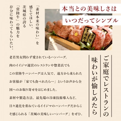 【毎月定期便】常陸牛ハンバーグ 100g×10個 黒毛和牛全3回