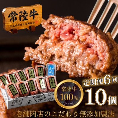 【毎月定期便】焼くだけでレストランの味!常陸牛ハンバーグ 100g×10個 【肉のイイジマ】全6回