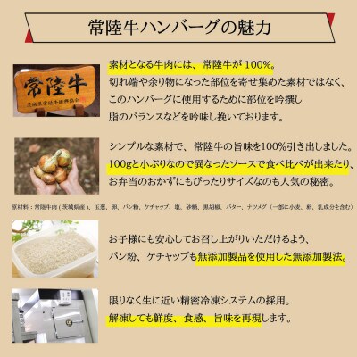 【毎月定期便】焼くだけでレストランの味!常陸牛ハンバーグ 100g×10個 【肉のイイジマ】全6回