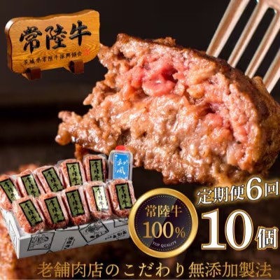 【毎月定期便】焼くだけでレストランの味!常陸牛ハンバーグ 100g×10個 【肉のイイジマ】全6回