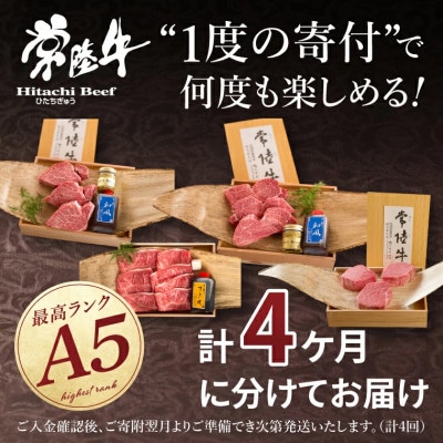 【毎月定期便】常陸牛A5 希少部位三昧 ヒレ赤身 すき焼き ステーキ シャトーブリアンなど全4回