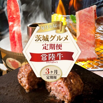 【毎月定期便】常陸牛 定期便Bコース ハンバーグ 焼肉 しゃぶしゃぶ セット【肉のイイジマ】全3回