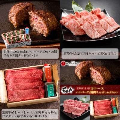 【毎月定期便】常陸牛 定期便Bコース ハンバーグ 焼肉 しゃぶしゃぶ セット【肉のイイジマ】全3回
