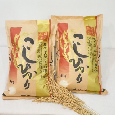 茨城県産コシヒカリ 令和5年産10kg(5kg×2)セット 精米 | 茨城県