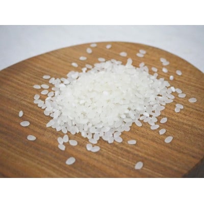 茨城県産コシヒカリ　令和5年産10kg(5kg×2)セット　精米