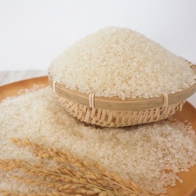 茨城県産コシヒカリ　令和5年産10kg(5kg×2)セット　精米