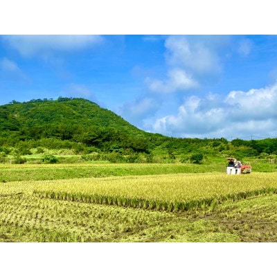 新米　茨城県水戸市産　清衛門ーせいえもんー　精米5kg(新品種・ゆみはりづき)甘く、もっちり食感!