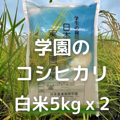 学生と作った学園のコシヒカリ　5kgx2袋　計10kg(精米)