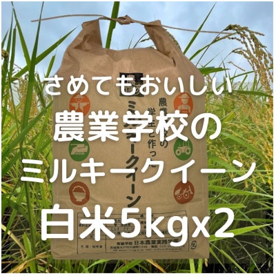 学生と作った学園のミルキークイーン(白米)5kg×2袋　精米
