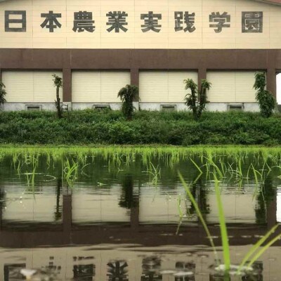 学生と作った学園のミルキークイーン(白米)5kg×2袋　精米
