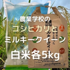学生と作った学園のコシヒカリとミルキークイーン(白米)各5kg 　精米