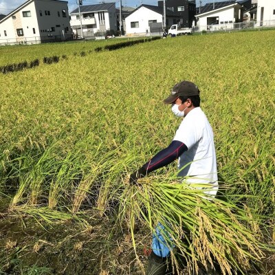 学生と作った学園のコシヒカリとミルキークイーン(白米)各5kg 　精米