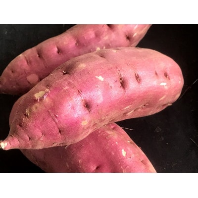 日本農業実践学園の干し芋【900g】