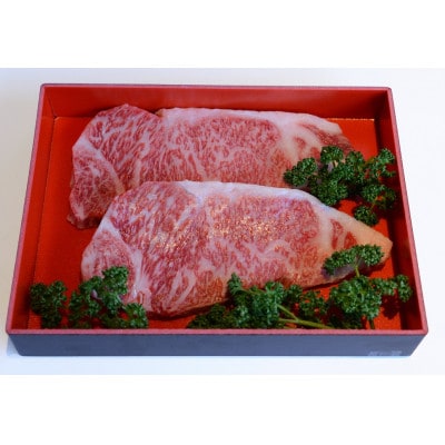 常陸牛ステーキ　250g×2枚