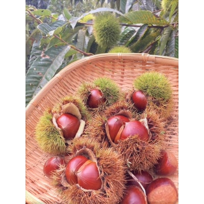 茨城県産　くりやの焼き栗　220g×3袋