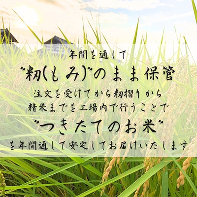 令和7年産　茨城県産コシヒカリ　宝蔵米　10kg(5kg×2)