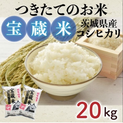 令和6年産　茨城県産コシヒカリ　宝蔵米　20kg(10kg×2)精米