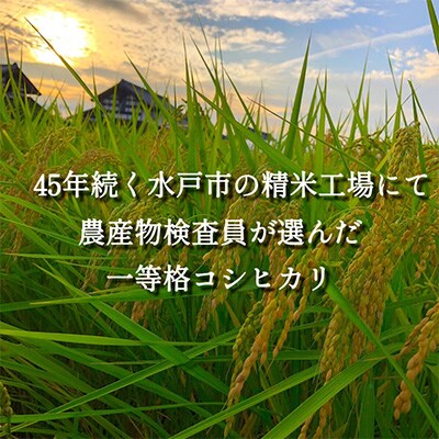 【毎月定期便】茨城県産コシヒカリ　宝蔵米　15kg(5kg×3)全6回