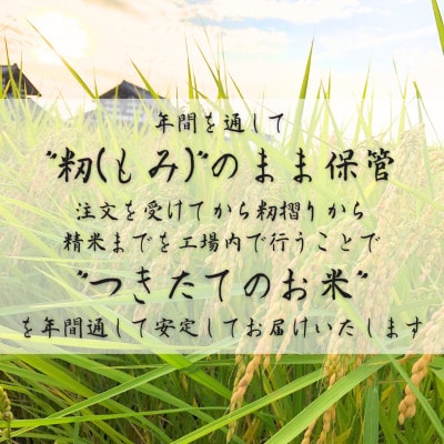 【毎月定期便】茨城県産コシヒカリ　宝蔵米　10kg(5kg×2)精米全3回