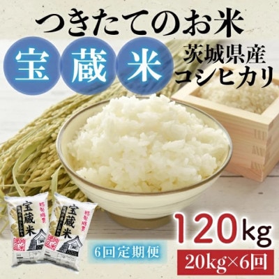 【毎月定期便】茨城県産コシヒカリ　宝蔵米　20kg(10kg×2)精米全6回