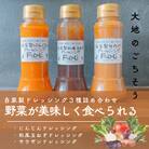 【野菜が美味しく食べれる】完全手作り!自家製ドレッシング3点種詰め合わせ
