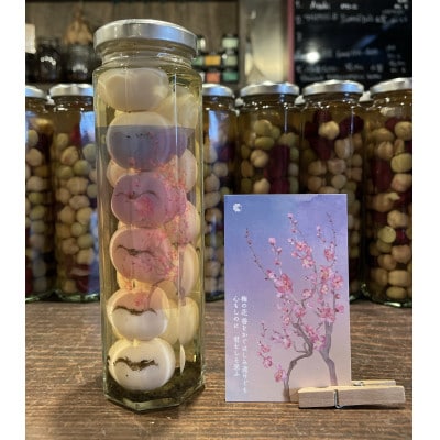 【水戸市有料観光土産品】Shamrock うずらのたまごのピクルス 梅香 2本