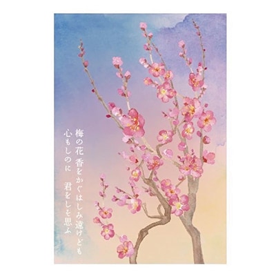 【水戸市有料観光土産品】Shamrock うずらのたまごのピクルス 梅香 3本