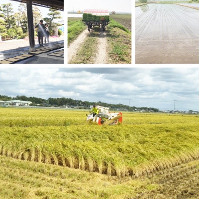 令和6年産 茨城県水戸市常澄産コシヒカリ みと米 450g × 2袋