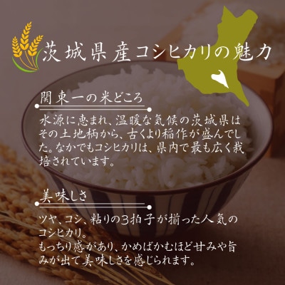 令和7年産 茨城県水戸市常澄産コシヒカリ 精米 みと米 2kg