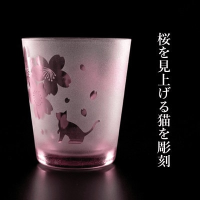 猫とお花見気分の桜グラス 砂吹き工房ねこまたや