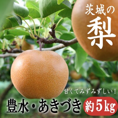 【2024年出荷受付】千代田の梨(豊水・秋月いずれか)約5kg【茨城県共通返礼品/かすみがうら市】