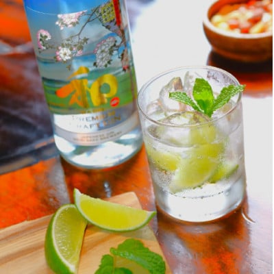プレミアムクラフトジン「和GIN」700ml