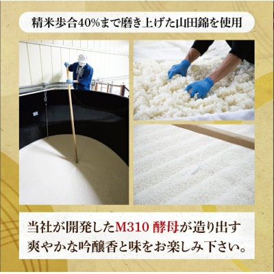 「副将軍」特別純米酒 6本セット(720ml)