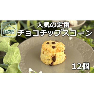チョコチップスコーン 12個