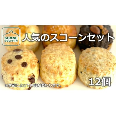 人気のスコーンアラカルト 12個