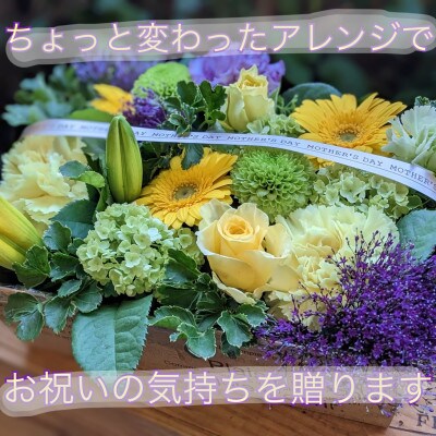 季節のお任せアレンジ BOX 開店祝い 誕生日 送別などにおすすめ