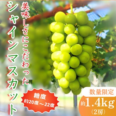 【2025年発送先行予約】美味しさにこだわったシャインマスカット【農家直送】約1.4kg(2房)