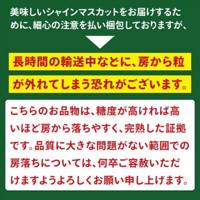 【2026年発送先行予約】美味しさにこだわったシャインマスカット【農家直送】約1.4kg(2房)